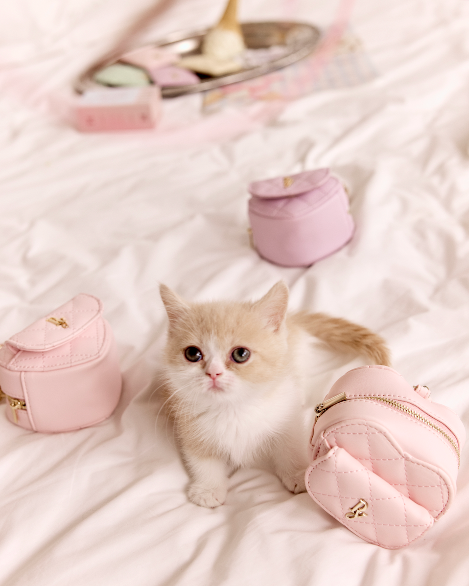 2WAY GELATO HEART BAG