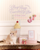 Kitten’s Gelato Pouch Set
