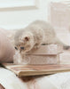 02 Lilac Lingerie Veil【10.02 20:00 OPEN】